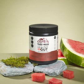 TERRA ORIGIN Healthy Gut Watermelon | 30-Servings with L-Glutamine, Zinc, Glucosamine, Slippery Elm Bark, Marshmallow Root and More!