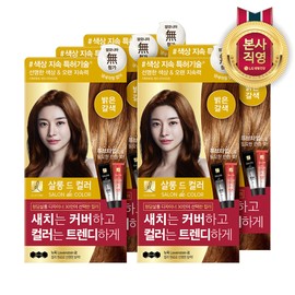 Elastine Salon de Color hair dye 100g light brown 1 box (5 pieces) / 엘라스틴 살롱드컬러 염색약 100g 밝은갈색 1박스(5개입)