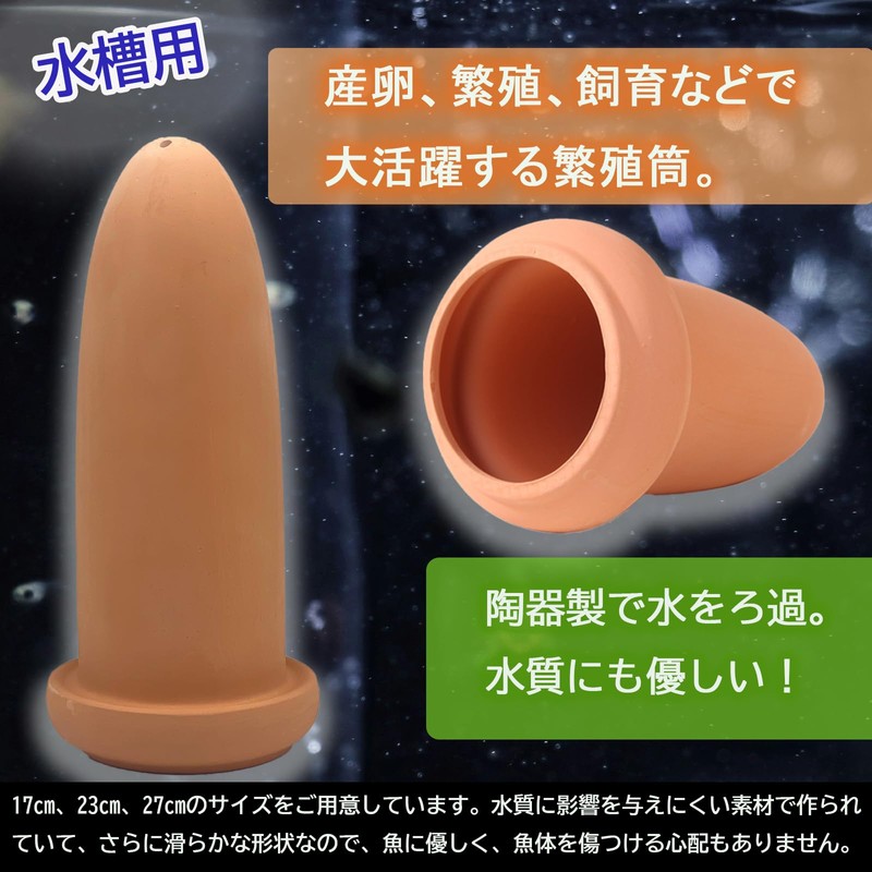 TIGRE BLANC Spawning Tube, Spawning Floor, Breeding, Breeding, Disqus, Angelfish,