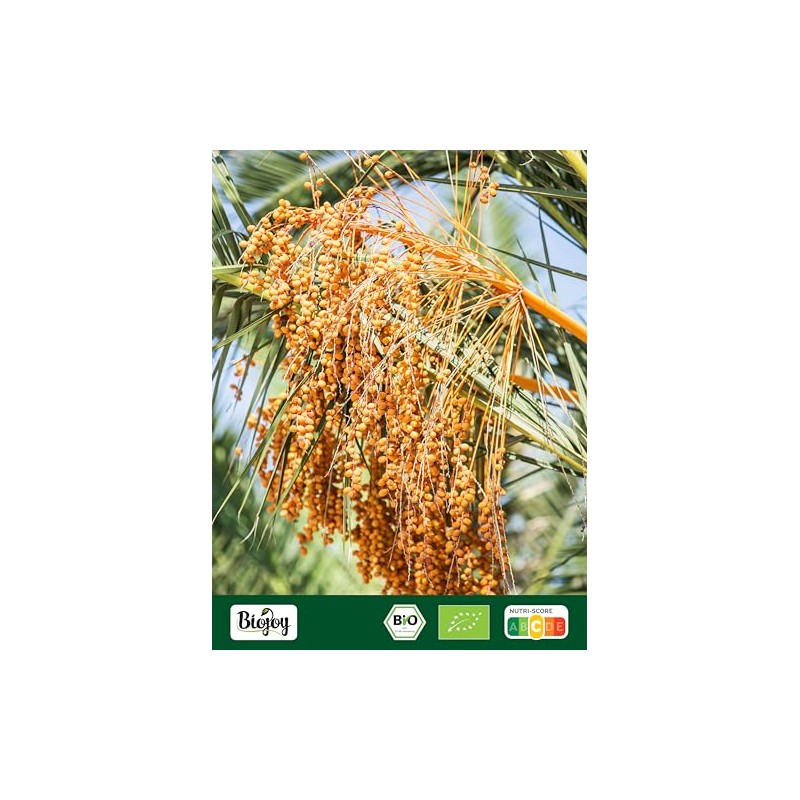 Biojoy Organic Date Sugar (500 g), Unrefined, Natural & No
