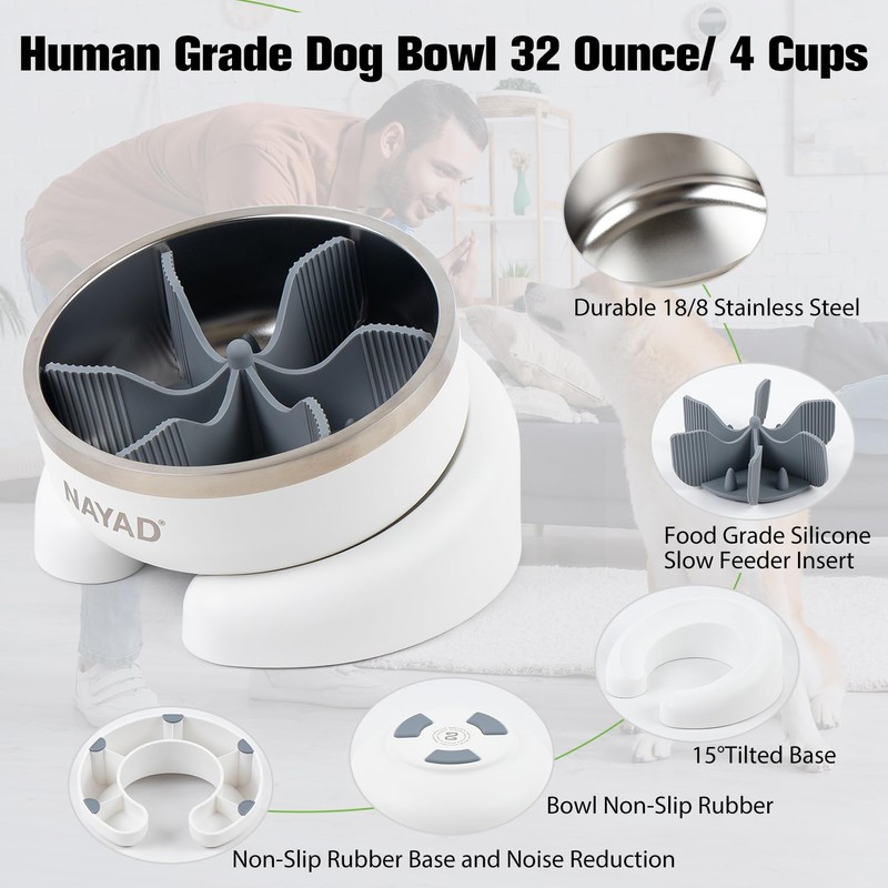 Stainless Steel Dog Bowls with Slow Feeder Raised Dog Food