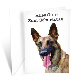 Funny Dog Birthday Card Pun With German Shepherd | Made in America | Eco-Friendly | Thick Card Stock with Premium Envelope 5in x 7.75in | Packaged in Protective Mailer | Prime Greetings