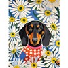 Dachshund 5D Diamond Painting Kit for Adults - Dachshund in