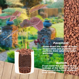 1.5 Lb Red Lava Rocks for Plants Decorative Landscaping 1/2" Lava Rock Granules Top Dressing for Cacti, Succulents Bonsai Plants for Release Excess Water to Prevents Root Rot