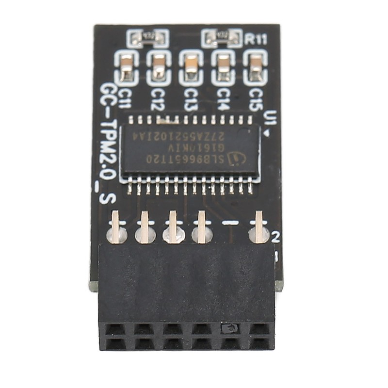 TPM 2.0 Encryption Security Module for GIGABYTE 12Pin LPC Interface