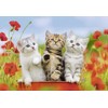 Ravensburger 07626 0 Kitten Adventure Jigsaw Puzzle (12 Pieces x