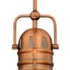 Westinghouse Lighting 63084A Boswell One-Light LED Indoor Mini Pendant, Washed