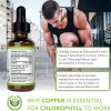 Benevolent Chlorophyll Liquid Drops 4 Month Supply Liquid Chlorophyll Supplement