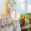 Flat Perches for Bird Cages | Cheese Wooden Bird Perch