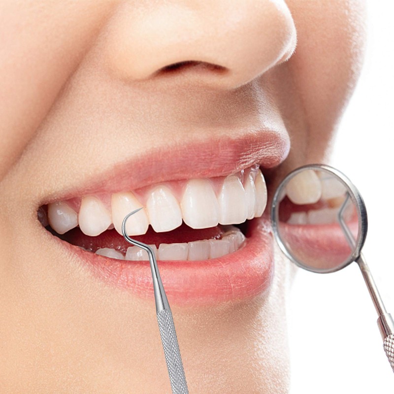 Worldity 5Pcs Reusable Toothpick, Portable Metal Toothpick, Professional Teeth Cleaning