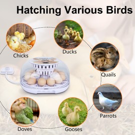 NORJIN 12 Digital Egg Incubator Automatic Egg Turning ＆Water Adding for Hatching Egg US