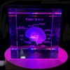 3D Human Brain with Labels Anatomical Model Paperweight(Laser Etched) in