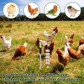 Kalekey Chicken Chewing Toy, Adjustable Chicken Toys for Coop with Volcanic Stone, Multi-Functional Chicken Coop Accessory for Chickens, Birds, Rodents & Small Pets