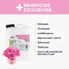 Hidrolato de Rosas Puro Lúdika de 5 L para Skincare