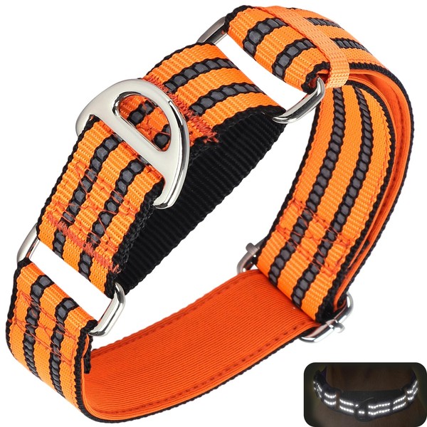 ONEFOJOJO Martingale Dog Collars for Dogs, Reflective Nylon Dog Collar