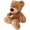 Anico 13" Pick-A-Pet Plush Bear