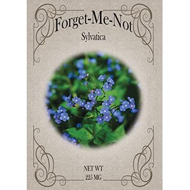 Set of Forget me Not Flower Seed Packets - Create Your Dream Garden - Bulk Flower Seeds (50)