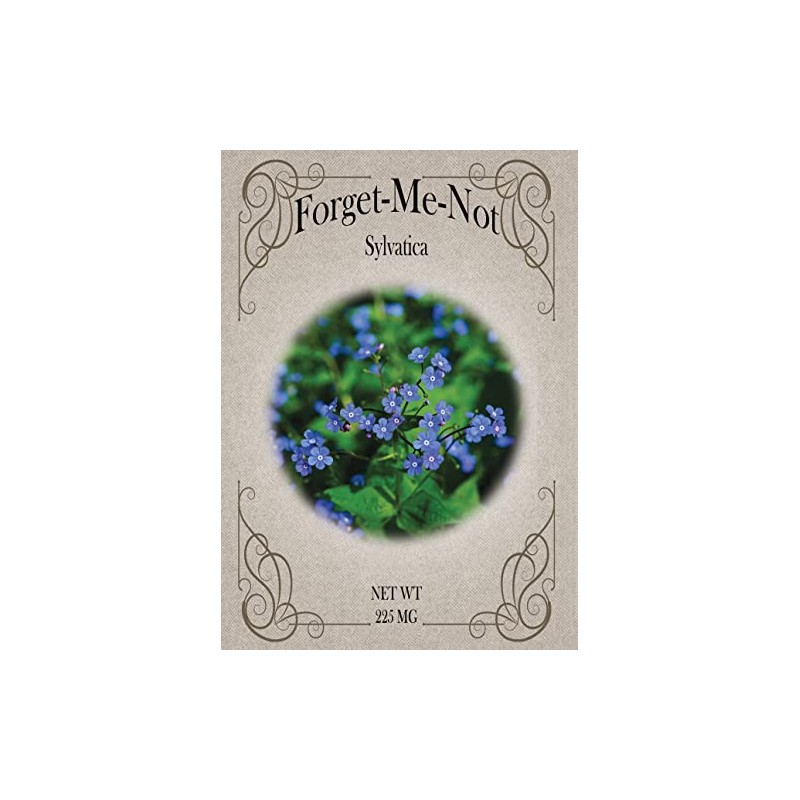 Set of Forget me Not Flower Seed Packets - Create