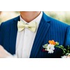 HISDERN Champagne Bow Ties for Men Bow Tie Self Tie