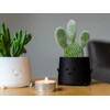 PlantMe Smira Smiles Flower Pot (6 cm, Black)