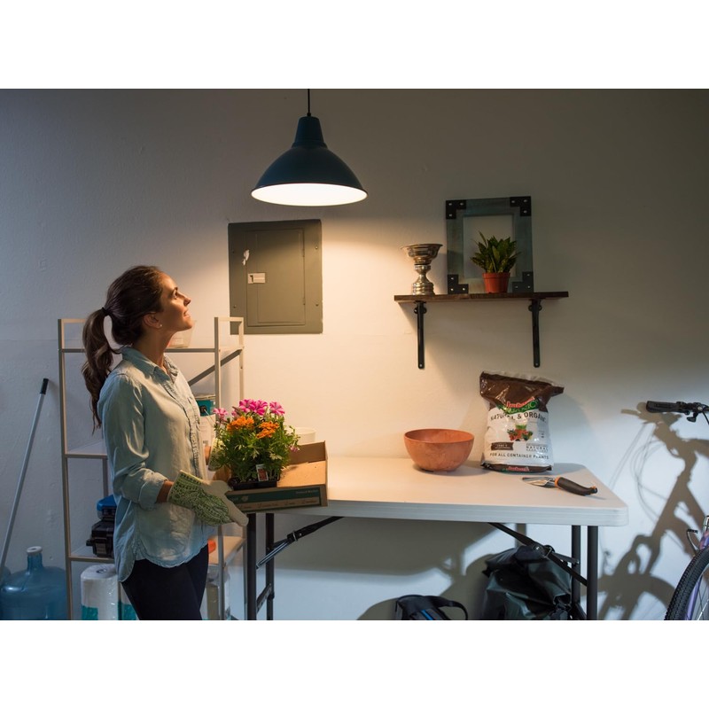 Feit Electric A19 LED Light Bulb, 60W Equivalent, Dimmable, Color