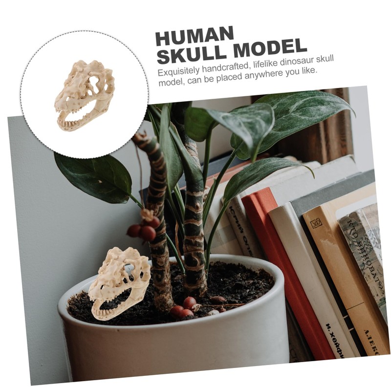 Ciieeo Resin Dinosaur Skull Model Simulated Skull Decoration for Office