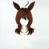 Agnes Tachyon Cosplay Wig and Tail Anime Game Uma Musume
