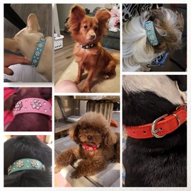 Rhinestone Flower Dog Collar - Sparkling Leather Pet Collar - for Small and Medium Dogs (Rose red S)