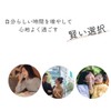 SAKI Oil Serum, 9-in-1 Dense Oil Essence That Can Be