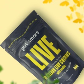 Gut–Smart LIVE, 60 x Slow-Release Capsules, Pre & Probiotics, 19 Billion Live Cultures, Natural Supplements for Healthy Digestion