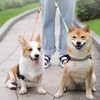 Double Dog Leash Lead 360°No Tangle Heavy Duty Retractable Pet