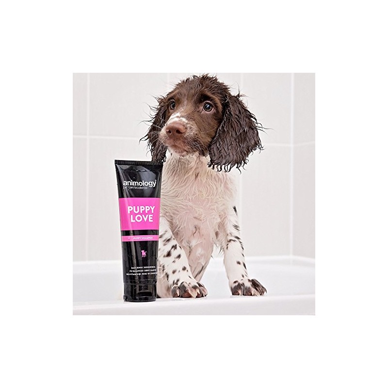 Animology Puppy Love Mild Dog Shampoo, Twin Pack, 250ml