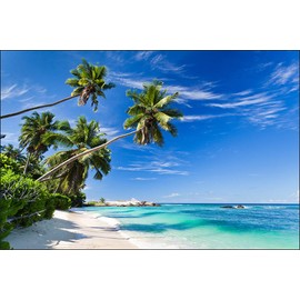 Muralo Photo Wallpaper Beach 120 x 180 cm Non-Woven Wallpaper Ocean Sky Palm Trees Living Room Bedroom Modern Wall Pictures XXL Nature Panorama Water Wall Decoration