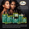 Difeel Elevated Rosemary Mint Shampoo with Biotin 12 oz. -