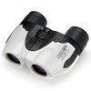 Kenko 013281 CERES GIV 10-40x18 Polo Prism Zoom Binoculars, 10-40x,