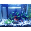 PakyKai Large Fish Tank Decorations, Mountain View Aquarium Ornament with