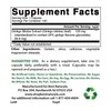 Best Naturals, Ginkgo Biloba Extract - Double Strength Ginkgo Biloba,