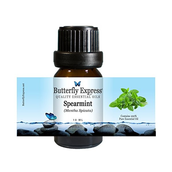Spearmint Essential Oil 10ml - 100% Pure by Butterfly Express