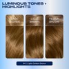 Clairol Nice'N Easy Crème 6G Light Golden Brown (3 Kits)