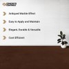 CC Concrete Coatings Vivid Acid Stain for Concrete | Coffee