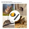 Slip Lid Mouse Trap Automatic Reset Reusable Cheese Shape Detachable