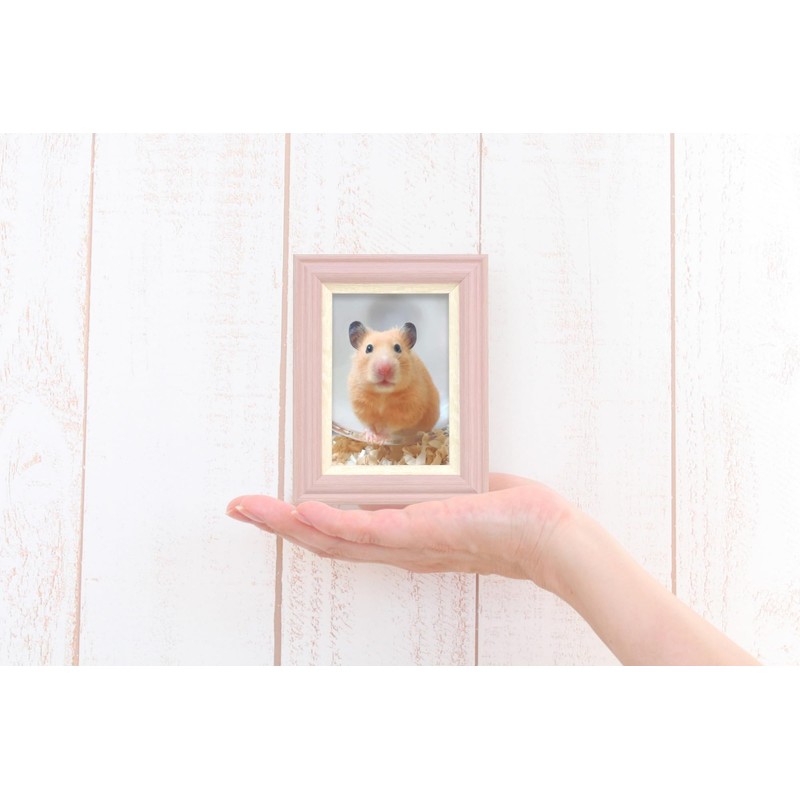 VANJOH 106911 V Mini Frame, Raffine, Blue, L-format Half Size,