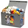 NETANY Clear Window Toy Box & Toy Chest with Lid