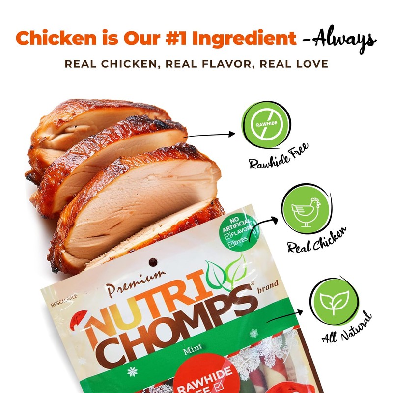 NutriChomps Dog Chews, 5 inch Twists, Mint Flavor, 10 Count,