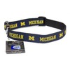 Michigan Wolverines Ribbon Dog Collar - Medium