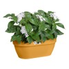 elho Vibia Campana Wall Basket 35 - Planter for Balcony