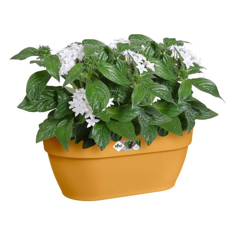 elho Vibia Campana Wall Basket 35 - Planter for Balcony