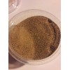 Mad River seeds mealworm frass ORGANIC Immune boost for plants,