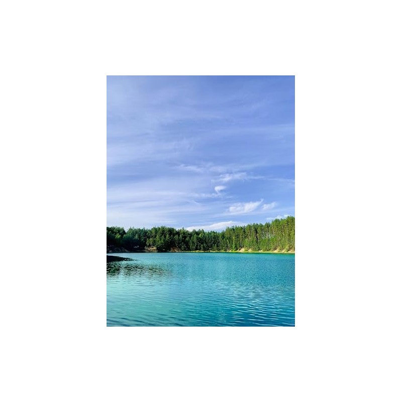 Pond Pro Turquoise Pond & Lake Dye - Single Pack