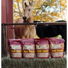 Equine Hoof Guard 10 lb, Concentrated Hoof Supplement, 32 mg. of Biotin